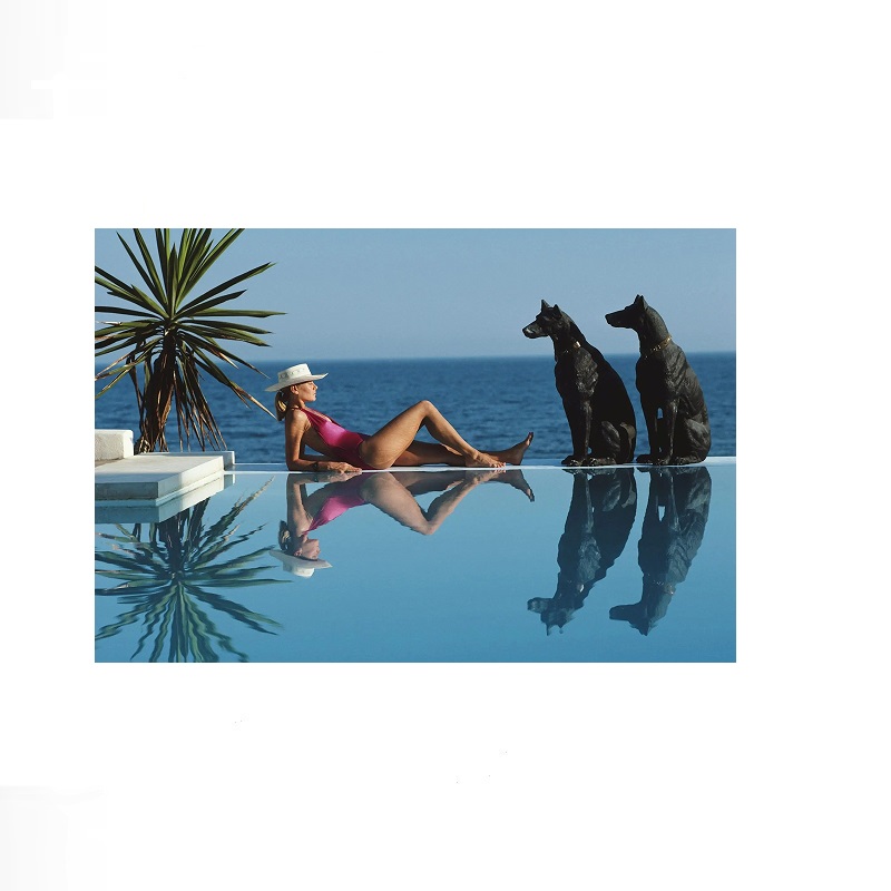 Retro Poolside Host Luxury Lif - Luxury Lifestyle Pictures recensione e prezzo